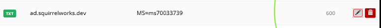 Porkbun DNS TXT record for ad.squirrelworks.dev